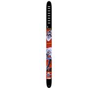 Perri's Leather Ltd P25INM-1342 - Correa para guitarra de cuero y hierro, 6,35 cm