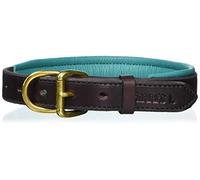 Perri's Padded Leather Dog Collar, Havana/Turquoise, X-Small