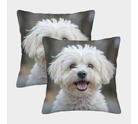 Perrito blanco lindo - Estilo de perro adorable Fundas Cojines Para Sofá 2 Piezas Disponible todas las estaciones Funda De Almohada Modernas Decorativa Funda De Cojines De Estar Dormitorio 40x40cm