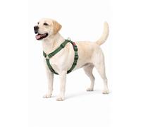 Perro Arnés Forma de H Ziggi Caqui L 60-85cm 70-100cm 25mm