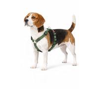 Perro Arnés Forma de H Ziggi Caqui M 45-65cm 55-70cm 20mm