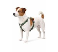 Perro Arnés Forma de H Ziggi Caqui S 35-50cm 40-50cm 15mm