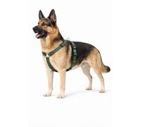 Perro Arnés Forma de H Ziggi Caqui XL 70-110cm 85-120cm 25mm