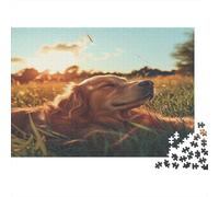 Perro Basking in The Sun,Rompecabezas para Adultos 1000pcs (75x50cm),Juegos De Desafío De Césped