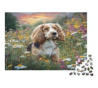 Perro Bonito Rompecabezas de Papel de Cavalier King Charles Spaniel en Campo de Margaritas al Atardecer, Regalo Apto para Toda la Familia 52x38cm/1000 Piezas