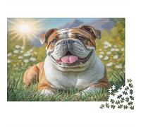 Perro Bonito Rompecabezas de Papel Grueso de Bulldog Sentado en Campo de Flores Blancas al Sol, Actividad Relajante Apta para Principiantes 70x50cm/1000 Piezas