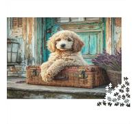 Perro Bonito Rompecabezas de Papel Grueso de Caniche en baúl Vintage Junto a Puerta Turquesa, Pack de Rompecabezas, Regalo contra el aburrimiento 38x26cm/1000 Piezas