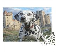 Perro Bonito Rompecabezas de Papel Reciclado de dálmata Frente a un Castillo de Piedra, Actividad Familiar interactiva 38x26cm/1000 Piezas