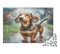 Perro Bonito Rompecabezas de Papel Resistente de Teckel en Camino Mojado bajo arcoíris, Estimulante Mental, Alivio del estrés 70x50cm/1000 Piezas
