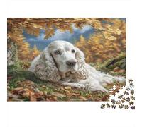 Perro Bonito Rompecabezas Premium de cartón de Cocker Spaniel Blanco Entre Hojas de otoño, Divertido 70x50cm/1000 Piezas