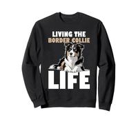 Perro Border Collie Sudadera