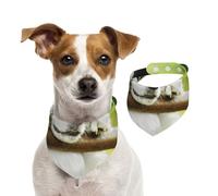 Perro Border Collie Verde,Pañuelos de algodón para Perros, Bufandas Ajustables para Mascotas,M