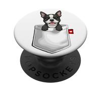 Perro Boston Terrier en Bolsillo asomando Lindo Cachorro Perro PopSockets PopGrip Adhesivo
