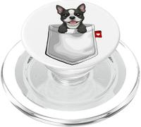 Perro Boston Terrier en Bolsillo asomando Lindo Cachorro Perro PopSockets PopGrip para MagSafe
