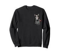 Perro Boston Terrier en Bolsillo asomando Lindo Cachorro Perro Sudadera