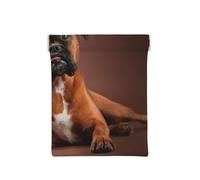 Perro Boxer Acostado Genial, Squeeze Top Wallet Bolsa de Almacenamiento para Mujer Monedero pequeño Bolsa de Cambio