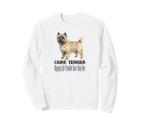 Perro Cairn Terrier desenterrando Problemas Desde el Primer día Mascota Sudadera