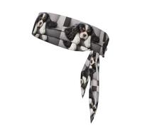 Perro Cavalier King Charles Spaniel, Cinta para la Cabeza, Diadema Deportiva con Lazo, Cinta para el Sudor Multiusos para Hombres y Mujeres.
