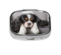 Perro Cavalier King Charles Spaniel, Pastillero cuadrado para bolsillo o monedero, pequeño contenedor de pastillas, organizador de pastillas de viaje