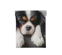 Perro Cavalier King Charles Spaniel, Squeeze Top Wallet Bolsa de Almacenamiento para Mujer Monedero pequeño Bolsa de Cambio