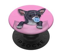 Perro chihuahua azul con chupete en bolsillos PopSockets PopGrip: Agarre intercambiable para Teléfonos y Tabletas