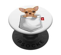 Perro Chihuahua en Bolsillo Mirando Lindo Cachorro Perro PopSockets PopGrip Adhesivo