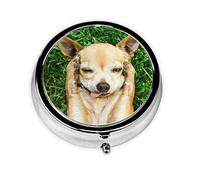 Perro Chihuahua, pastillero, pastillero cuadrado para bolsillo o monedero, pastillero pequeño, organizador de pastillas de viaje