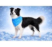 Perro Collar - Bandana refrescante Azul M 70x25 cm - poliéster Transpirable - Efecto refrescante - 3 Capas - Absorbente - Verano - Tipo Manta refrescante para Perros