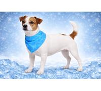 Perro Collar - Bandana refrescante Azul S 52x22 cm - poliéster Transpirable - Efecto refrescante - 3 Capas - Absorbente - Verano - Tipo Manta refrescante para Perros