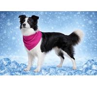 Perro Collar - Bandana refrescante Rosa M 70x25 cm - poliéster Transpirable - Efecto refrescante - 3 Capas - Absorbente - Verano - Tipo Manta refrescante para Perros