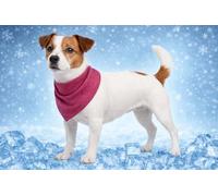 Perro Collar - Bandana refrescante Rosa S 52x22 cm - poliéster Transpirable - Efecto refrescante - 3 Capas - Absorbente - Verano - Tipo Manta refrescante para Perros