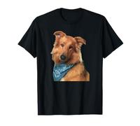 Perro Collie Hermoso Collie Rough Collie Perro Camiseta