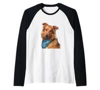 Perro Collie Hermoso Collie Rough Collie Perro Camiseta Manga Raglan