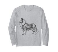 Perro Collie Hermoso Collie Rough Collie Perro Manga Larga