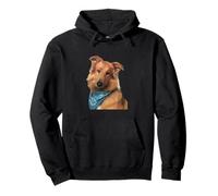 Perro Collie Hermoso Collie Rough Collie Perro Sudadera con Capucha
