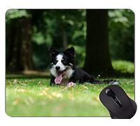 Perro corriendo Pastor Alemán Animal Picture Mouse Pad, Border Collie Personalizado Rectángulo Gaming Mouse Pads