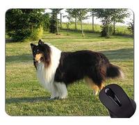 Perro Corriendo Pastor Alemán Animal Picture Mouse Pad, Collie Personalizado Rectángulo Gaming Mouse Pads