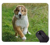 Perro Corriendo Pastor Alemán Animal Picture Mouse Pad, Dog Office Mouse Pad