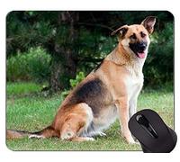 Perro corriendo Pastor Alemán Animal Picture Mouse Pad, Pastor Alemán Personalizado Rectángulo Gaming Mouse Pads