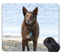 Perro corriendo Pastor Alemán Animal Picture Mouse Pad, Ram Office Mouse Pad