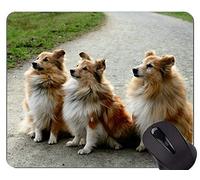 Perro Corriendo Pastor Alemán Animal Picture Mouse Pad, Shelties Alfombrillas De Raton