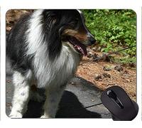 Perro Corriendo Pastor Alemán Animal Picture Mouse Pad, Shetland Sheepdog Base de Goma Antideslizante Mousepad