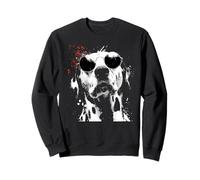 Perro dálmata Genial con Gafas de Sol Splash Art Sudadera