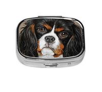 Perro de regalo Cavalier King Charles Spaniel, Pastillero cuadrado para bolsillo o monedero, pequeño contenedor de pastillas, organizador de pastillas de viaje