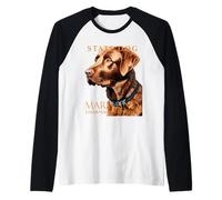 Perro del Territorio de Maryland The Retriever Camiseta Manga Raglan
