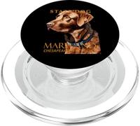 Perro del Territorio de Maryland The Retriever PopSockets PopGrip para MagSafe