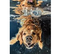Perro Diamond Painting Adultos 40x60cm, 5D Pintura de Diamante 5-8527
