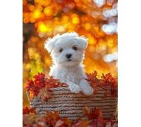 Perro Diamond Painting Adultos, 5D Diamond Painting Kit Completo Manualidades Adultos, DIY Punto de Cruz Diamante Art Crafts Pictures Embroidery Kit, Regalo Originales para Mujer, 60x80 cm Lienzo S-39