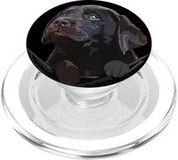 Perro en Bolsillo Chocolate Lab Brown Labrador Retriever Lover PopSockets PopGrip para MagSafe