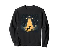 Perro es visto por OVNI para risas galácticas Sudadera
